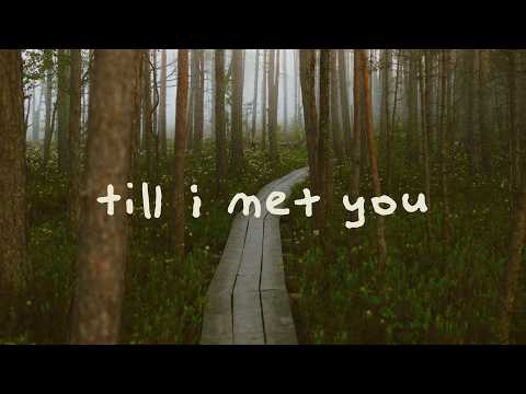 Said The Sky & good problem - Till I Met You (lyrics)