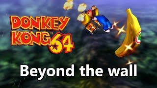 Donkey Kong 101% World Record History - Beyond the wall