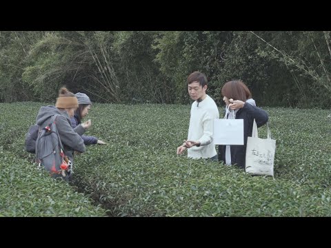 《到新竹走走 峨眉茶鄉之旅》客家新聞雜誌第835集 - YouTube
