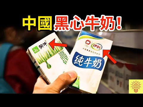 被中國曝光的黑心牛奶！徒手製作、污漬遍地、回收廢料，看完你還敢喝嗎？