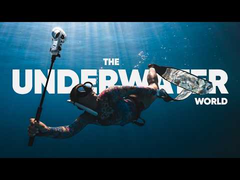 Saving the Sharks | A 360° Conservation Journey with Insta360 x ZimyDaKid