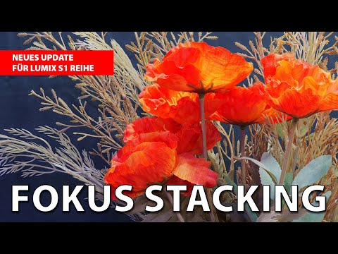 Fokus Stacking: Großes Update für Lumix S1 Serie