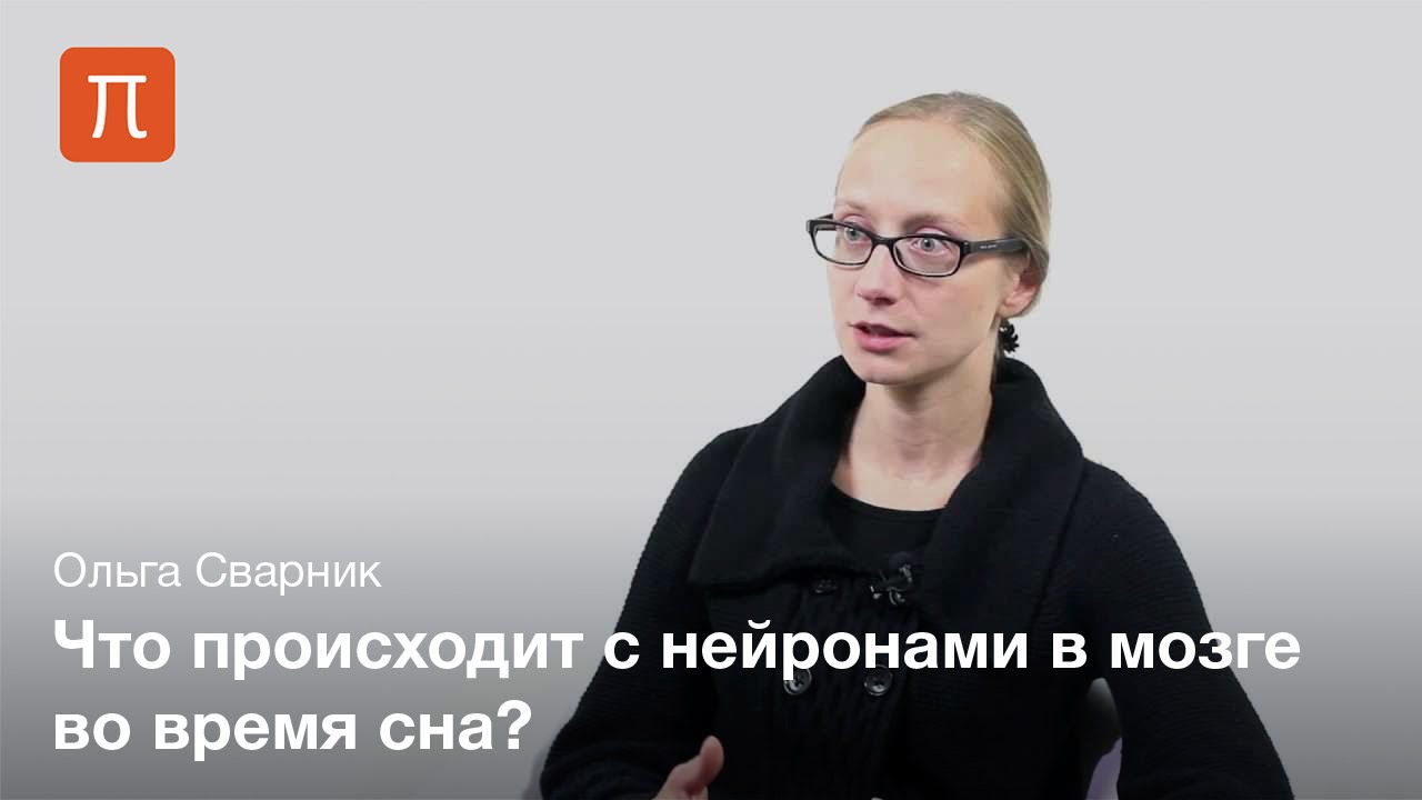 Сварник Ольга - Сон и память