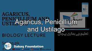 Agaricus, Penicillium and Ustilago
