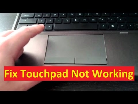 hp mouse stops working