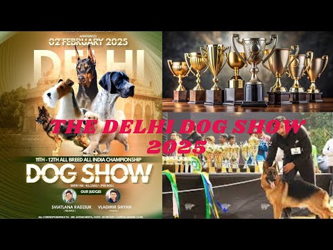 Biggest Dog Show In Delhi ! Never seen a dog like beer in show 😱