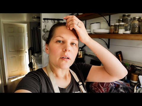 Cleaning Out Freezers || Helene Power Outage Day 8