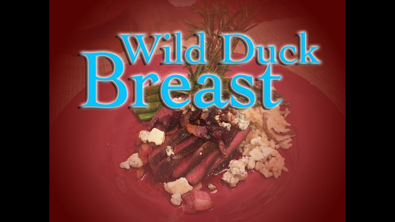 WILD DUCK RECIPE! AMAZING! DMFD! TASTY TUESDAY!