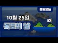 독도 역사와 영유권 퀴즈