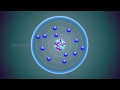 Exploring Atoms and Molecules in Class 9