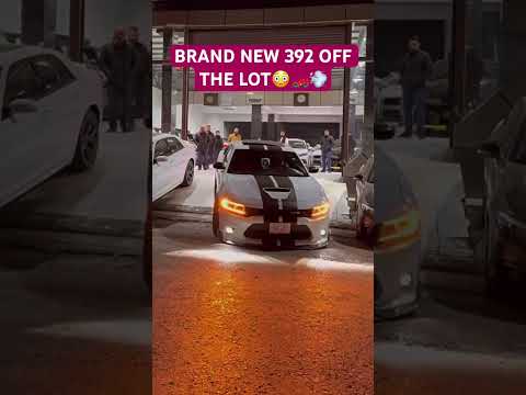 BRAND NEW CHARGER 392 OFF THE LOT 😳🏎️💨#mustang #challenger #hellcat #mopar #dodge #srt