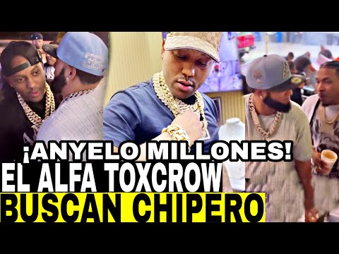 EL ALFA Y TOXICROW SON ATRACADOS POR UN CHIPERO LLAMADO ANGELO MILLONES USA SUS IMÁGENES PARA VENDER