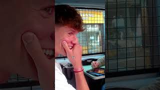 POV: Die Polizei denkt, du bist ein illegaler Sprayer laserluca prank | Verstehen Sie Spaß?