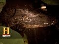 Swamp Adventures and Traditions