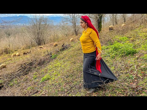 IRAN Nomadic Life | Discover the Charm of Alborz Mountains and Village Life