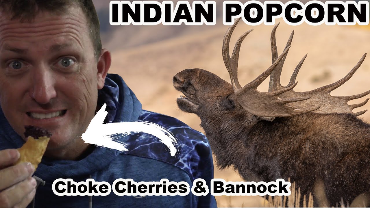 INDIAN POPCORN with Choke Cherries & Bannock First Nation Powwow on SweetGrass Reservation