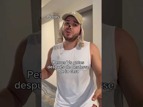 Perros y gatos después de perderse de la casa 🐶🐱❤️😂