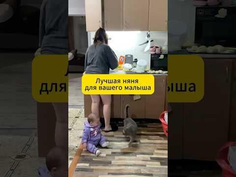 Быстрый способ успокоить малыша 🥰🐈 #новости #животные