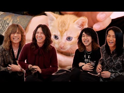 【子猫インタビュー】THE YELLOW MONKEYが子猫たちとインタビューに答えます！