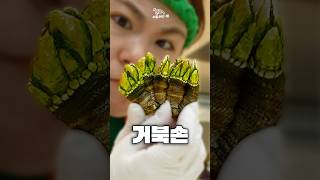 🐢세상에서 가장 쫄깃한 거북이의 손  #カメノテ
