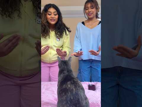 Who will Luna Pick?