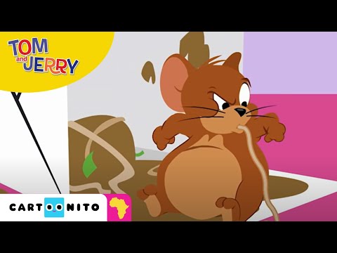 Tom and Jerry: Food Thief! π | Cartoonito Africa