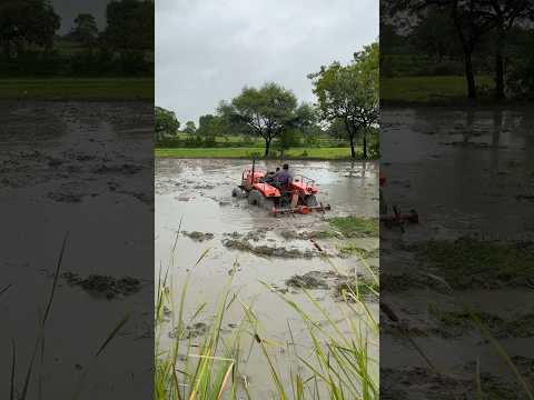 Kubota 4wd tractor working in mud #shorts #trending #tractor