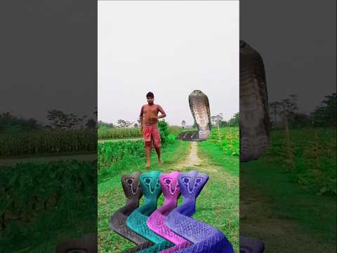 lal#lin#snakw aya#hata hara#sshambhu#cnake aua#bhago re