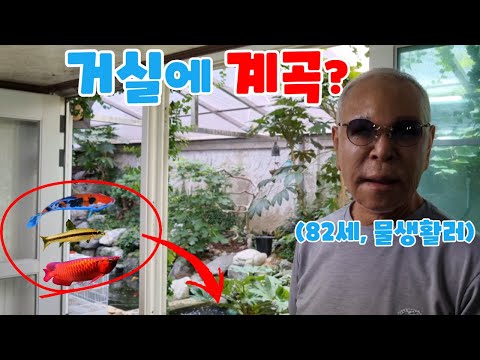 합성아님)거실에 계곡을 만들고 물고기와 새를 키우는 남자,집에 사람보다 동물이 더 많네요;;(valley in the living room)