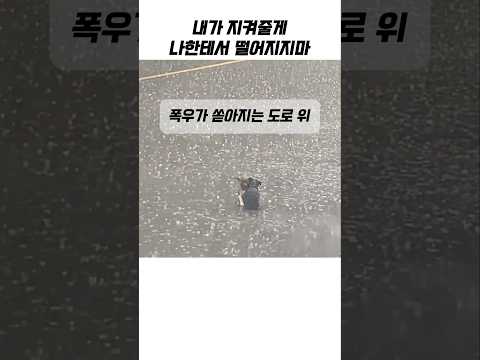 사람의 마음을 움직인 아이들
