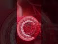 Understanding Cardiac Output