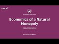 Natural Monopolies and Digital Platforms