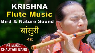 Krishna Flute Music | Flute Music | Bansuri Dhun | Birdsound | Beautiful Nature | Instrumental Music