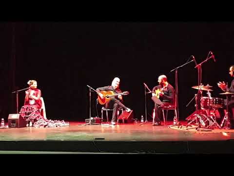 Live Show BAND - Attilio Celona