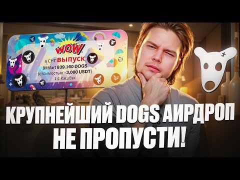 Крупнейший DOGS аирдроп в СНГ : Листинг токена DOGS, когда иксы?!!!