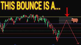 bull trap building this month?