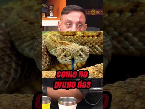 O LAGARTO MAIS BIZARRO DO MUNDO #richardrasmussen #biologohenrique #lagarto