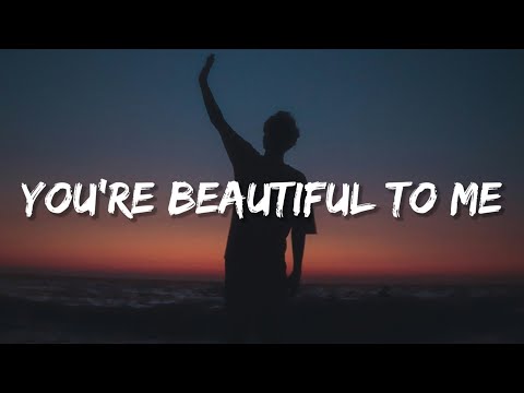 Stephen Dowd - You're Beautiful To Me (Lyrics)