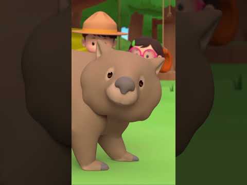 ARE YOU SURE THESE ARE CHOCOLATES?! 🍫 | Leo the Wildlife Ranger | #shorts #animals #fun