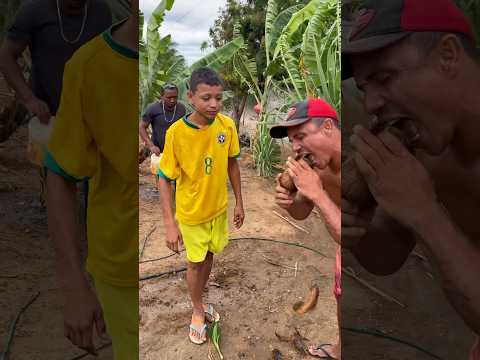 #roça