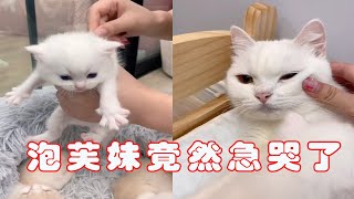 我的泡芙妹竟然急哭了