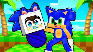 Minecraft'ta Sonic Ailesi Neden Beni EVLAT EDİNDİ? 😱🍼