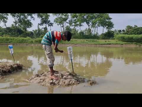 Amazing boy fishing with bottle trap #fishing #fishtrap