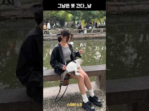 벤치에 잠깐 앉았는데..