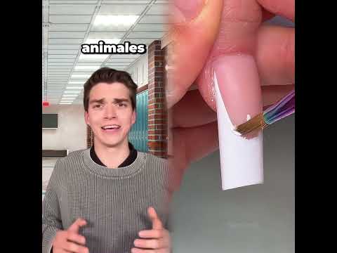 El Alumno Más Inteligente 😂ðŸ§