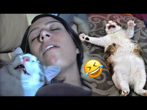 The Funniest Animal Moments Caught On Camera 🤣 I love jokes