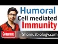 Immune Response Concepts Assessment