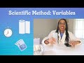 Paper Towel Experiment Variables and Results