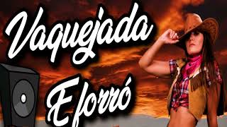 BANDA 100 PAREA & BONDE DO VAQUEIRO BORA BEBER CACHAÇA