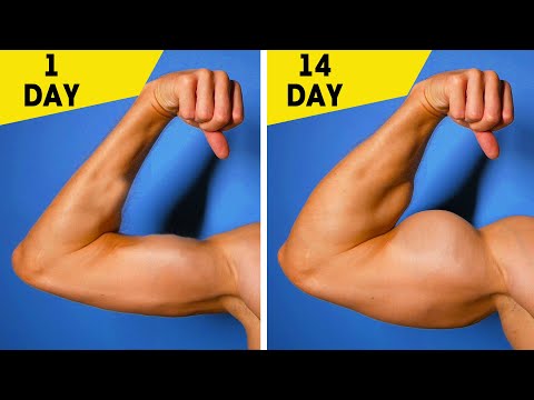 Strong Body in 14 days | Home Exercises | Home Workout Without Equipment